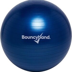 Bouncyband Bouncy Ball Movement Focus Enhancement Seating Activity Ball Weighted